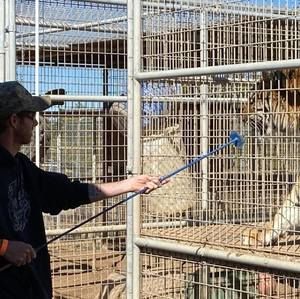 Meet your Posher, Timothy